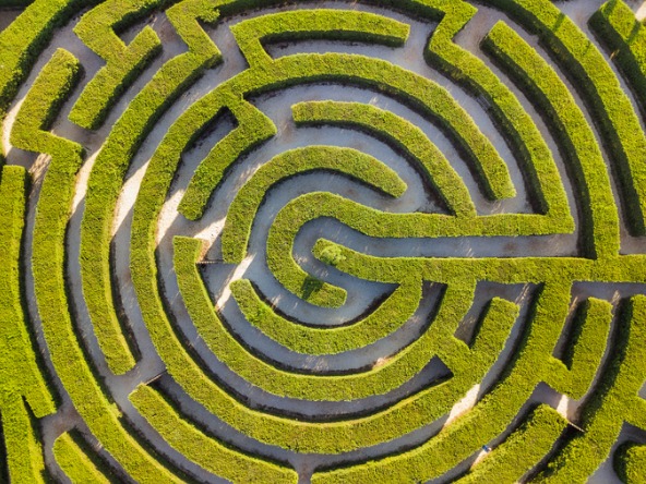 Hedge maze